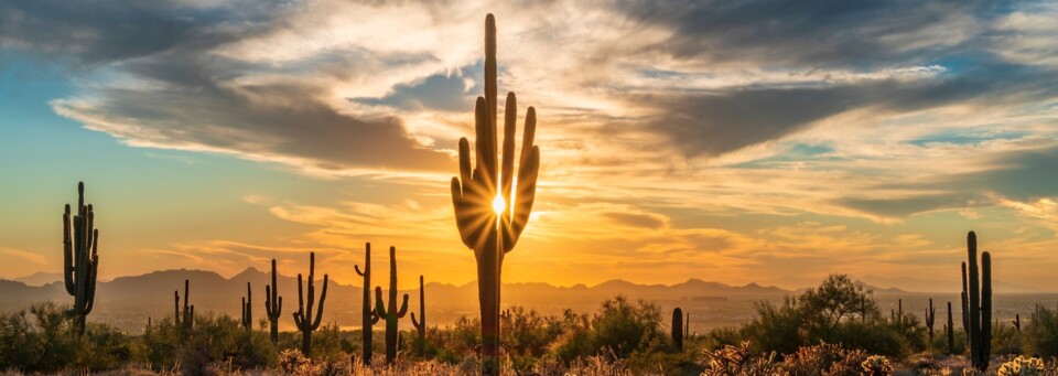 Scottsdale McDowell Sonoran Conservancy