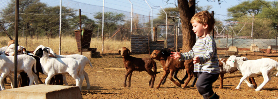 Farm - Namibia