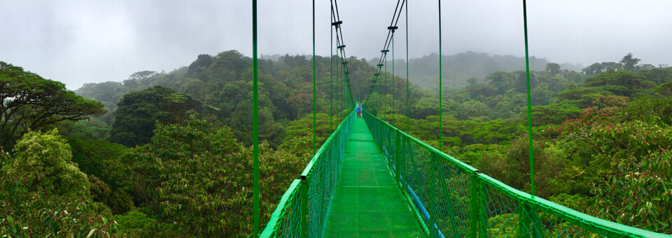 Costa Rica Reisebericht - Monteverde Hanging Bridges