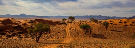 Namibia mit dem Mietwagen erleben