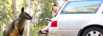 Travellers Autobarn Australien