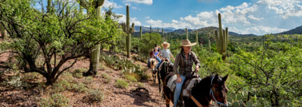 Cowboys & Kultur im Süden Arizonas