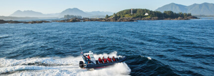 Walbeobachtung Tofino