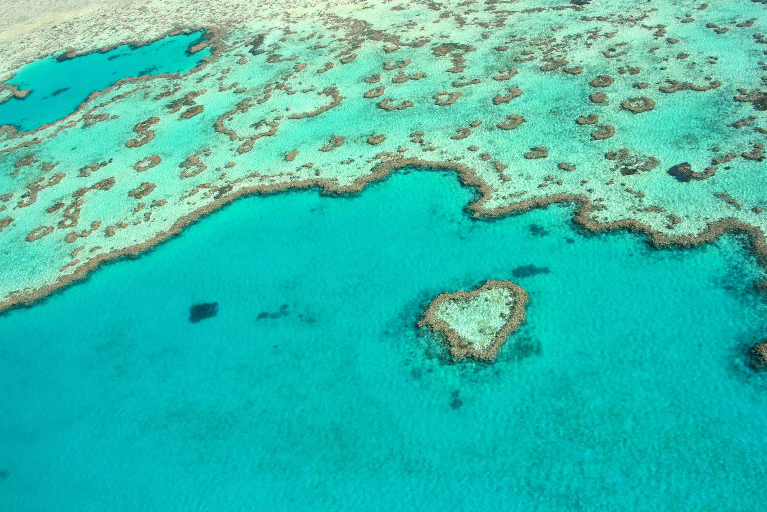 Luftaufnahme Heart Reef