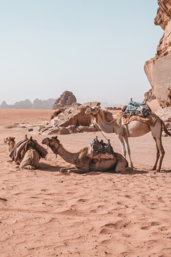 Beste Reisezeit Jordanien