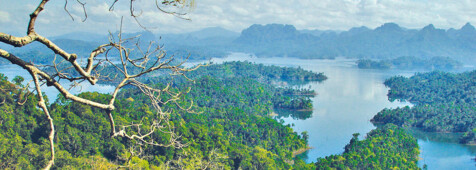 Cheow Larn Lake Expedition