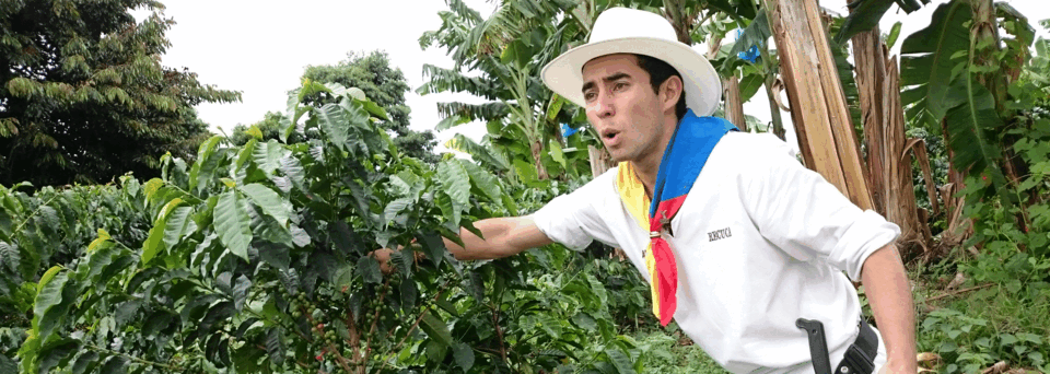 Führung auf einer Kaffeeplantage in Kolumbien