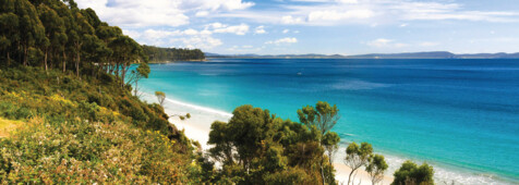 Bruny Island Cruise