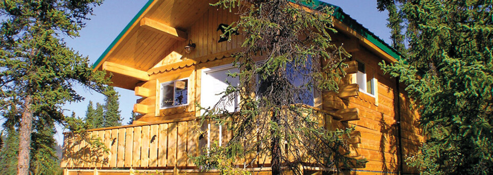 Außenansicht Cedar Lodge Denali Grizzly Bear Resort Denali Nationalpark