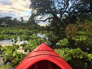 Kajak fahren auf dem Lago de Nicaragua