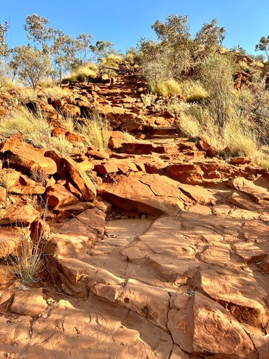 Reisebericht Australien - White Cliffs