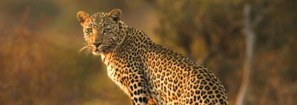 Abenteuerliches Namibia