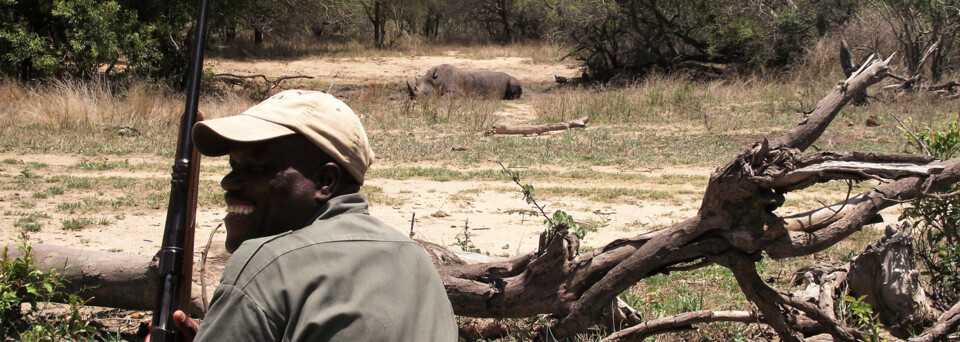 Reisebericht Südafrika: Auf der Pirsch mit Ranger in Südafrika