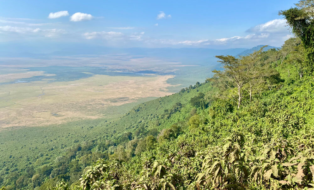 Ngorongoro Conservation Area