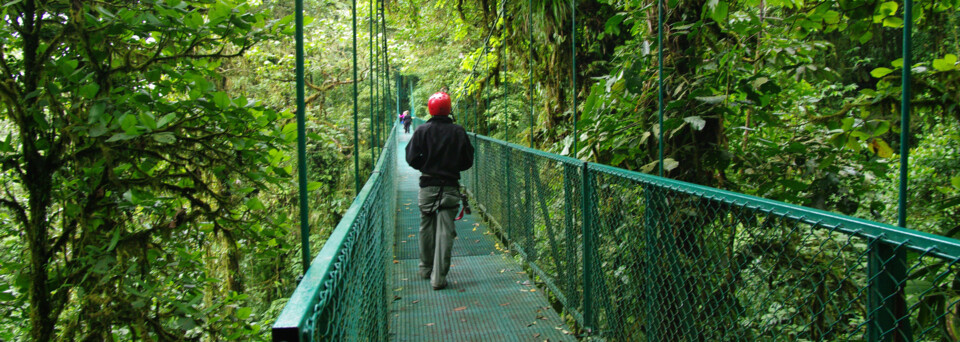 Monteverde - Brücke im Nebelwald Costa Rica