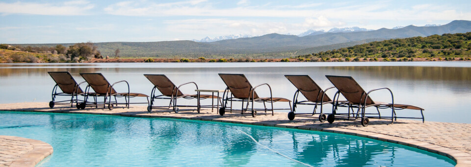 Pool der Buffelsdrift Game Lodge