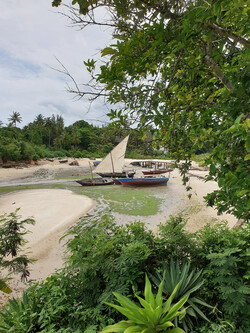 Sansibar Reisebericht: Bucht mit Booten
