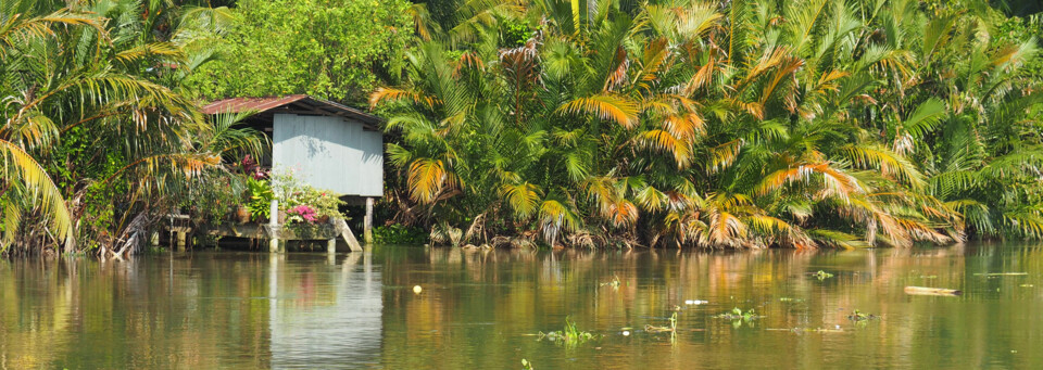 Bangkok Landschaft - auf dem Weg zur Palmzucker-Fabrik