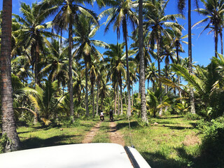 Cook Island Reisebericht - Straße auf Atiu