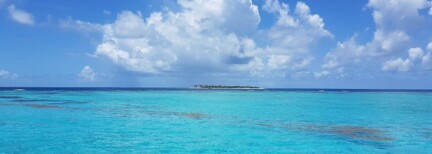 Tropische Träume in Tobago