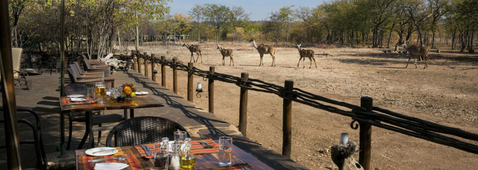 Deck des Ongava Tented Camp