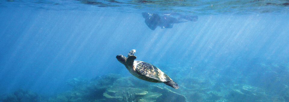 Ningaloo Reef