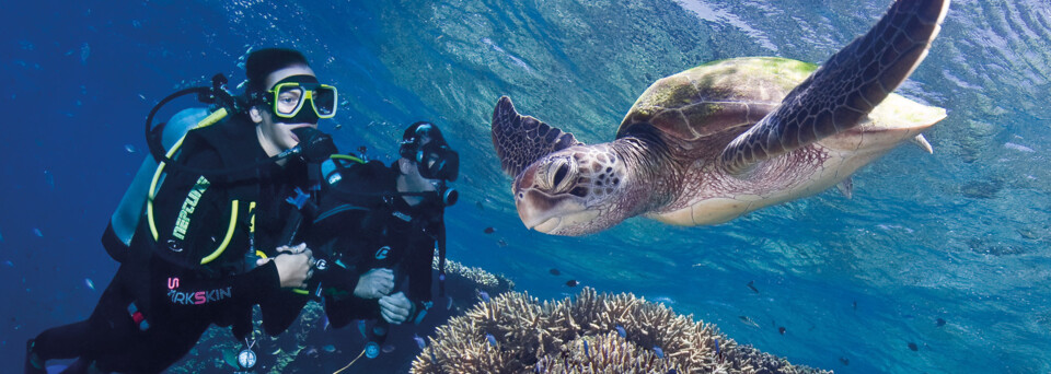 Pro Dive Taucher und Schildkröte am Great Barrier Reef