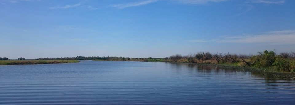 Mary River Wetlands