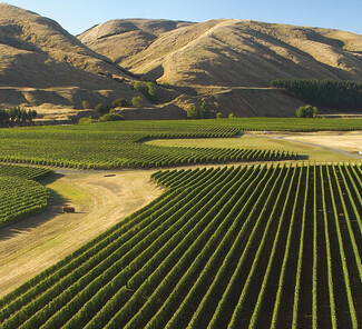 Wairarapa-Martinborough-Weinregion.jpg Wairarapa-Martinborough-Weinregion.jpg