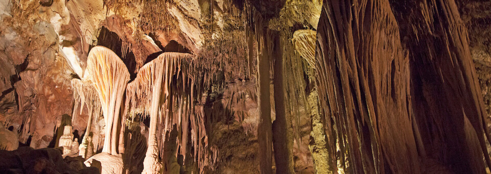 Entdecke die Lehman-Höhlen im Great Basin Nationalpark