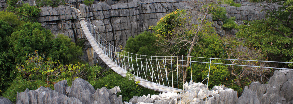 Hängebrücke im Ankarana Reserve im Norden