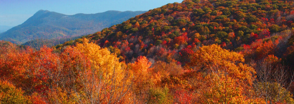 North Carolina - Blue Ridge Mountains im Herbst Blue Ridge Mountains im Herbst, North Carolina