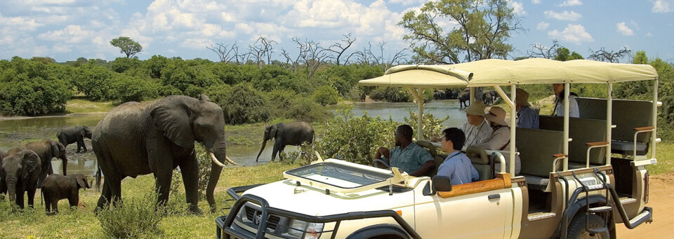 Pirschfahrt Chobe Nationalpark Botswana