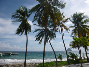 Reiseberichte Karibik: Strand "Le Diamante" an der Südwestspitze Martiniques