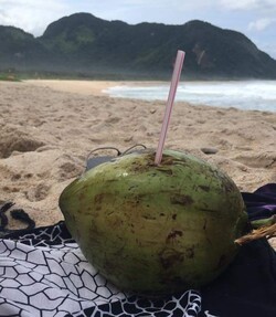 Kokosnuss am Strand von Grumari