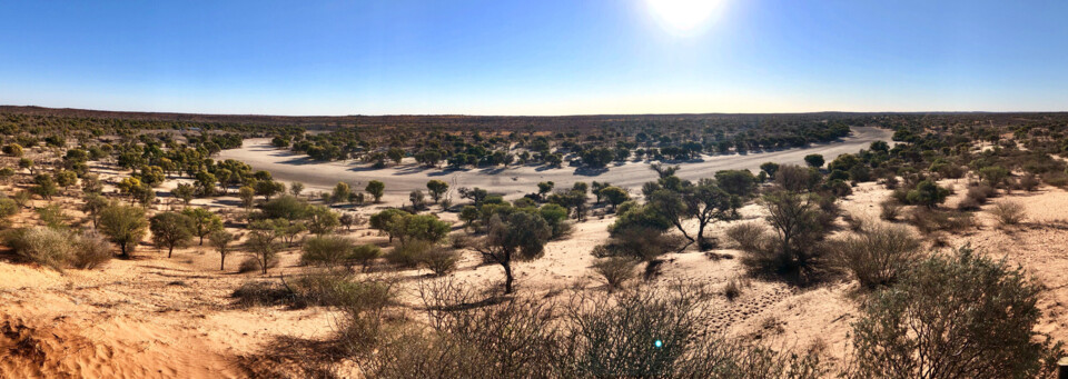 Reisebericht Namibia - Kgalagadi-Transfrontier-Nationalpark