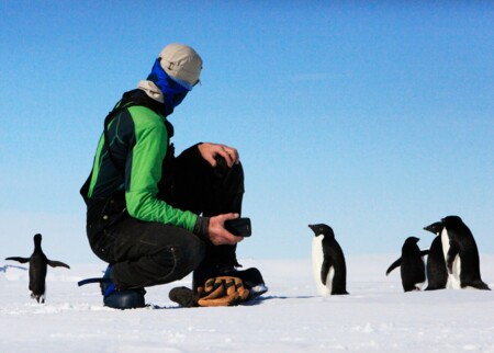 Pinguine am McMurdo Sound