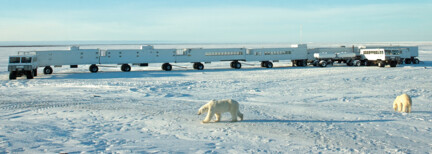 Tundra-Buggy-Tour zu den Eisbären