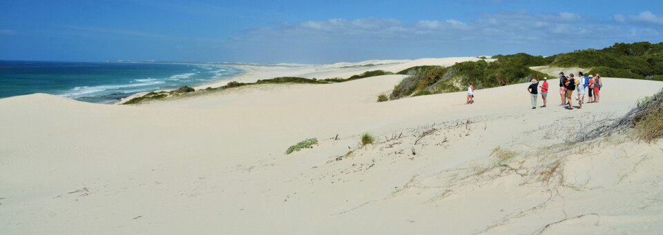 Strand des De Hoop Collection