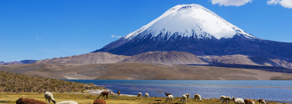 Lauca Nationalpark 