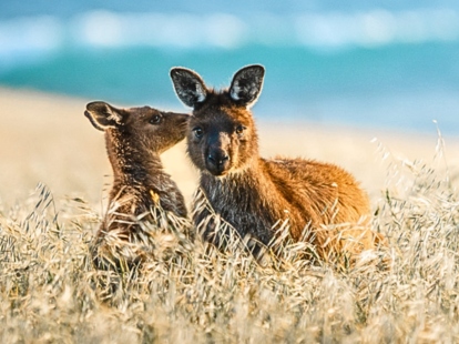 South Australia