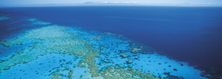 Naturparadies Michaelmas Cay