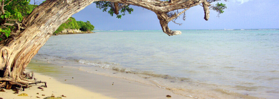 Strand auf Guadeloupe