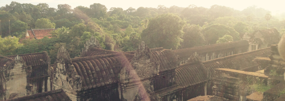 Der Dschungel rund um Angkor Wat, Siem Reap