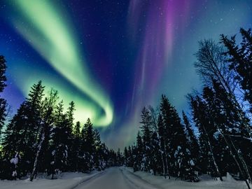 Polarlichter-Reise in Lappland