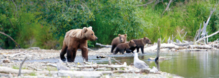 Brooks Lodge im Katmai Nationalpark