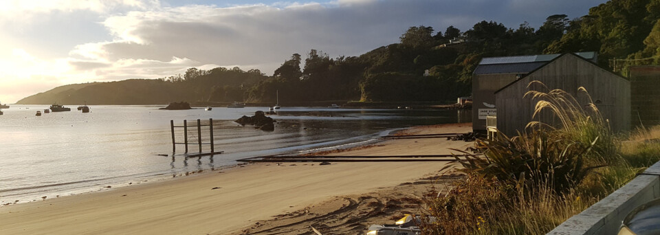 Neuseeland Reisebericht: Kueste auf Stewart Island