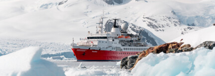 Im Reich der Eisbären XL