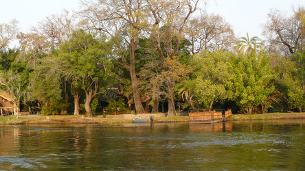 Reisebericht Botswana: Insel im Okavango Delta