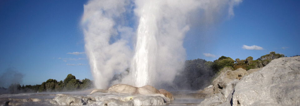 Geysir Whakarewrewa Thermalgebiet